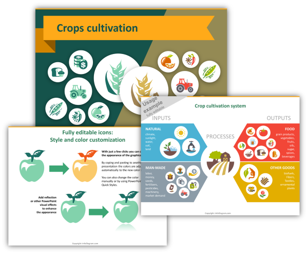 crops food icons ppt_overview