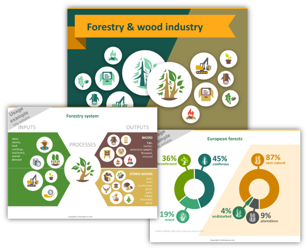 forestry wood industry ppt