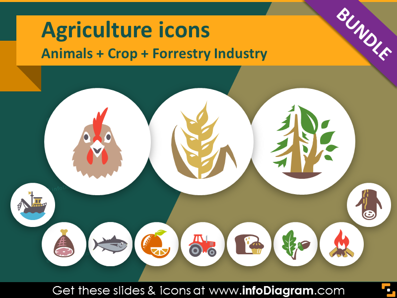 Food and Agriculture Graphics for Illustrating Goods Presentation