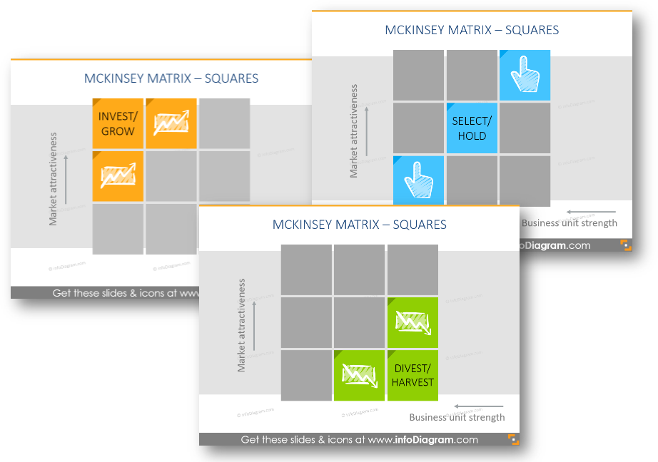 strategies McKinsey Matrix separate slide