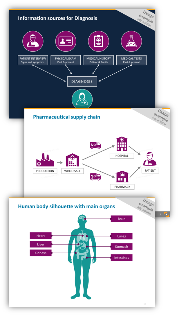 human body silhouette with main organs