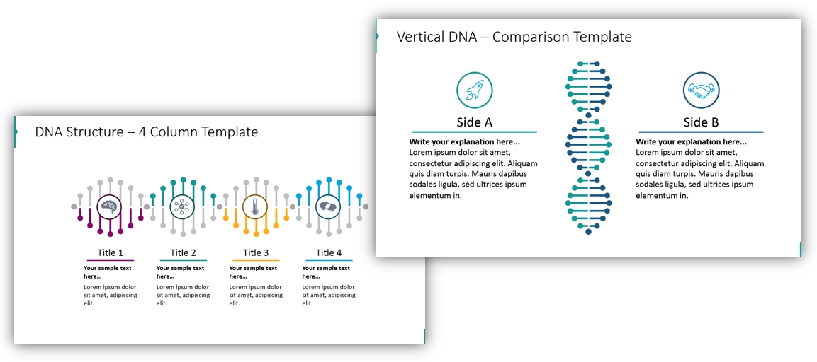 DNA diagram dna structure ppt