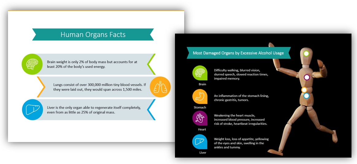 outline healthcare graphics human organs facts