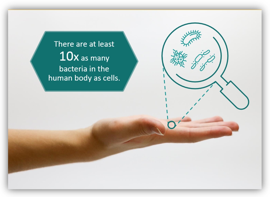 outline healthcare graphics bacteria facts ppt