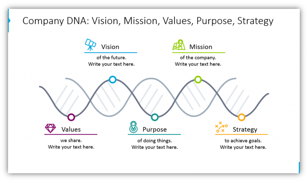 company DNA infographic ppt
