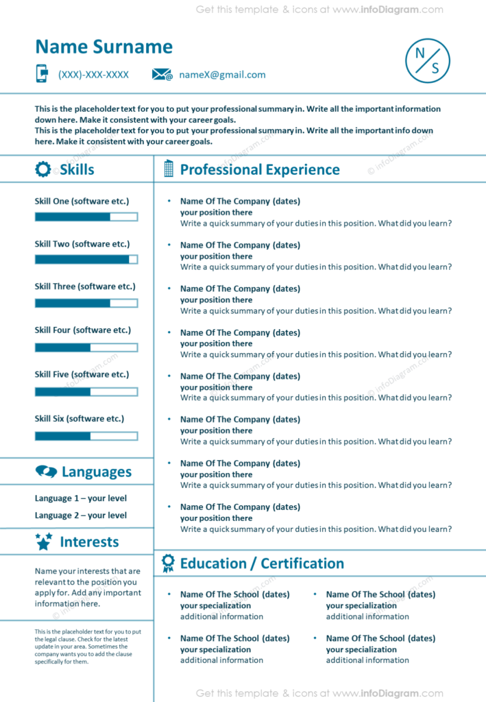 Light Lines Professional Experience CV Graphical One Page Template