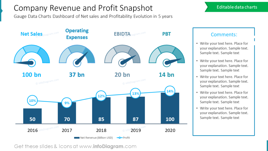 Company Revenue and Profit Snapshot annual report review ppt