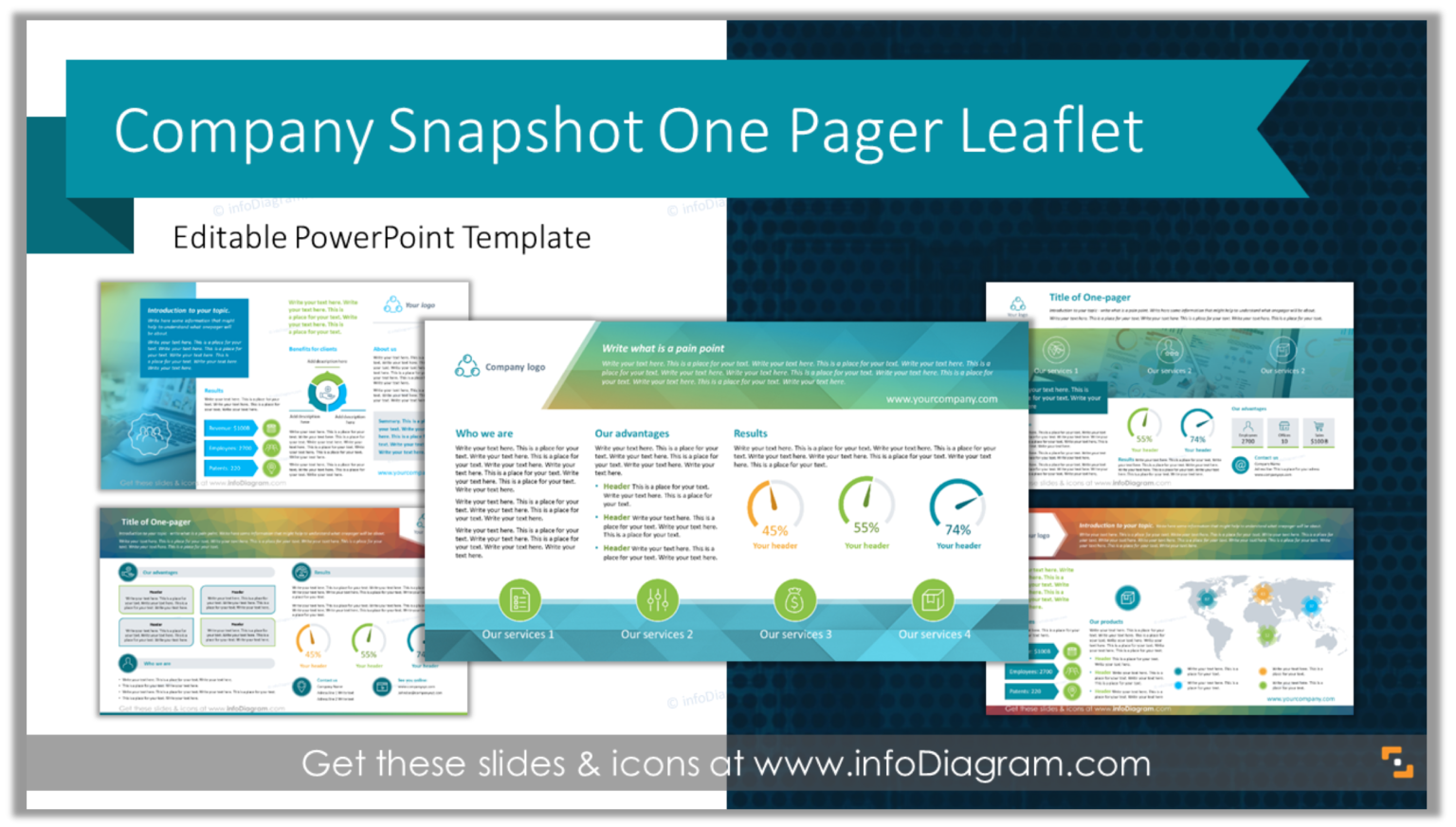Company Snapshot One Pager Leaflet PowerPoint Template title Blog