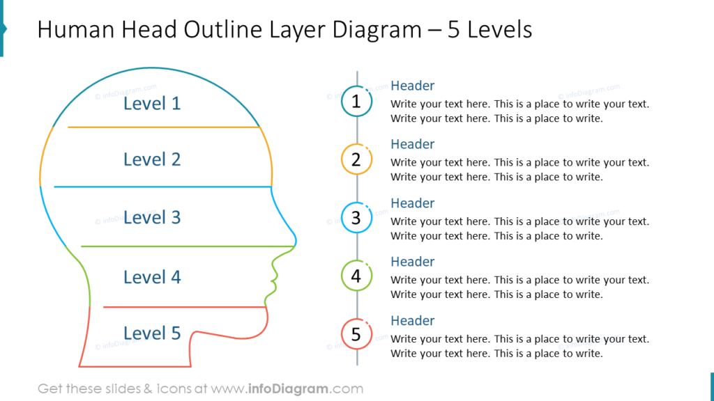 Human Head Outline Layer Diagram – 5 Levels head and brain graphics