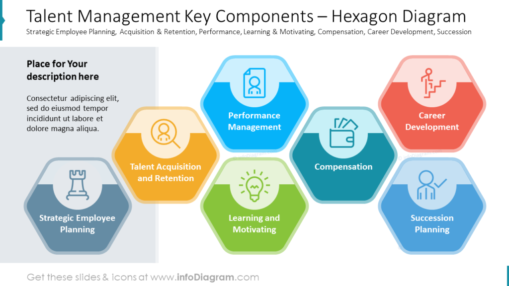talent-management-key-components-hexagon-diagram