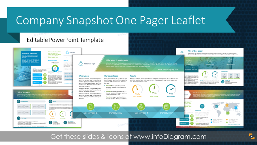 one-pager-company-snaphot-leaflet-ppt-template
