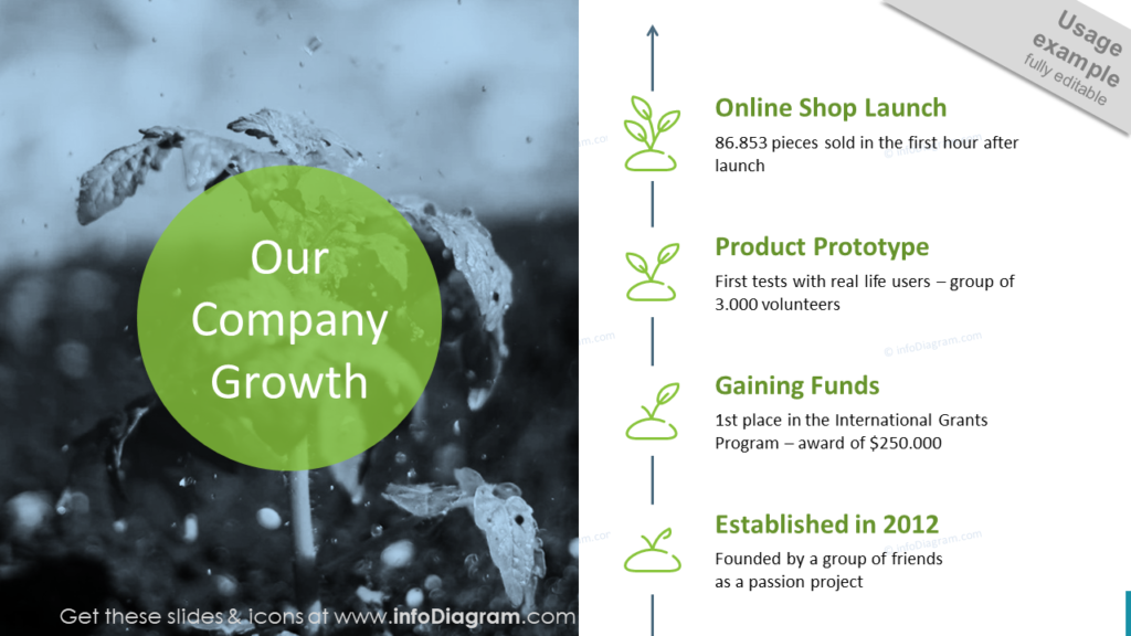 company growth stages timeline