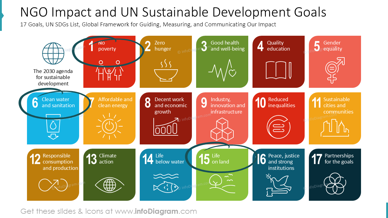 ngo-impact-and-un-sustainable-development-goals